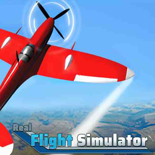 Real Flight Simulator